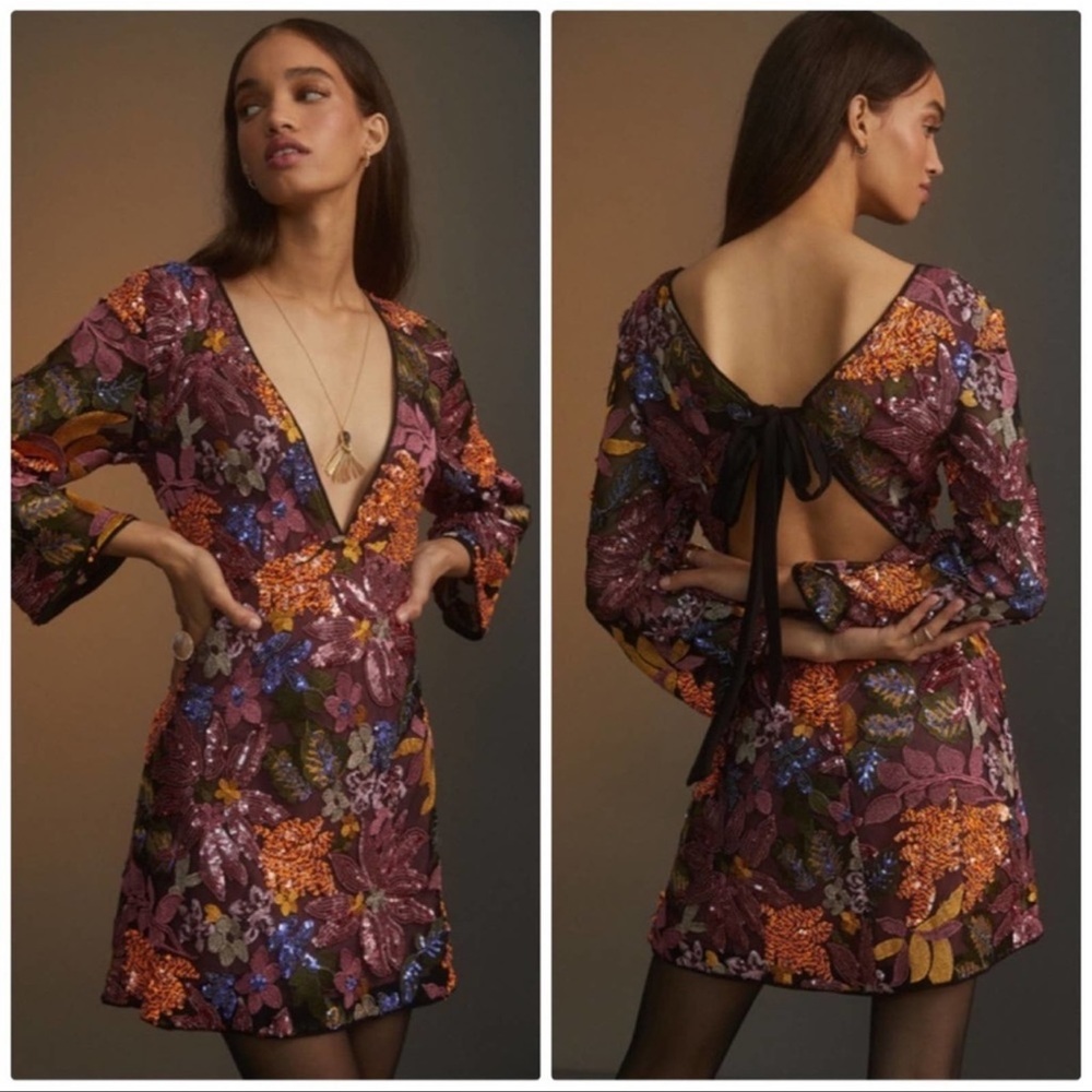 Anthropologie embroidered dress
